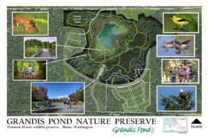 Grandis Pond PRESERVE