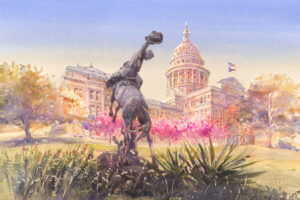 Arca capitol view 2 reduced 1