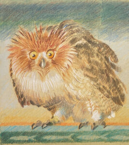 BWRatner Fish Owl copy