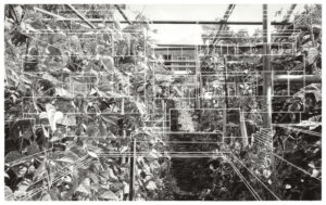 Maria's Garden, Scheme B