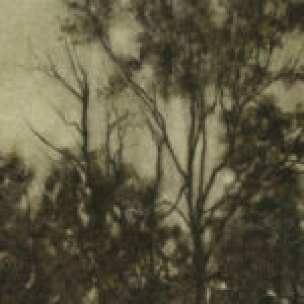 Jane Grealy
